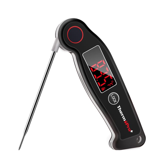 ThermoPro TP-19